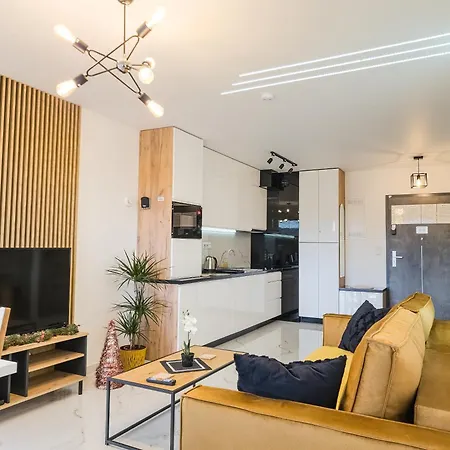 公寓 Beskid 新松奇