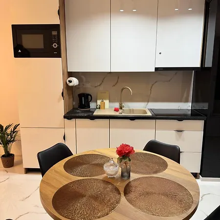 Beskid 公寓 新松奇